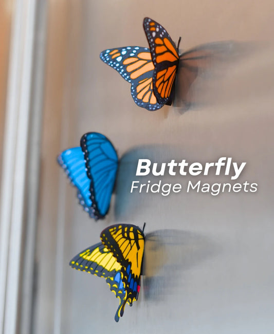 Butterfly Magnets - Pack 1