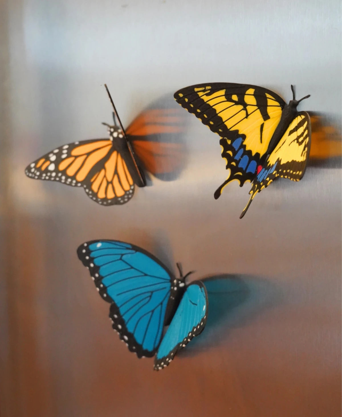 Butterfly Magnets - Pack 1