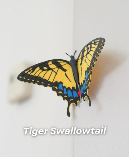 Butterfly Magnets - Pack 1