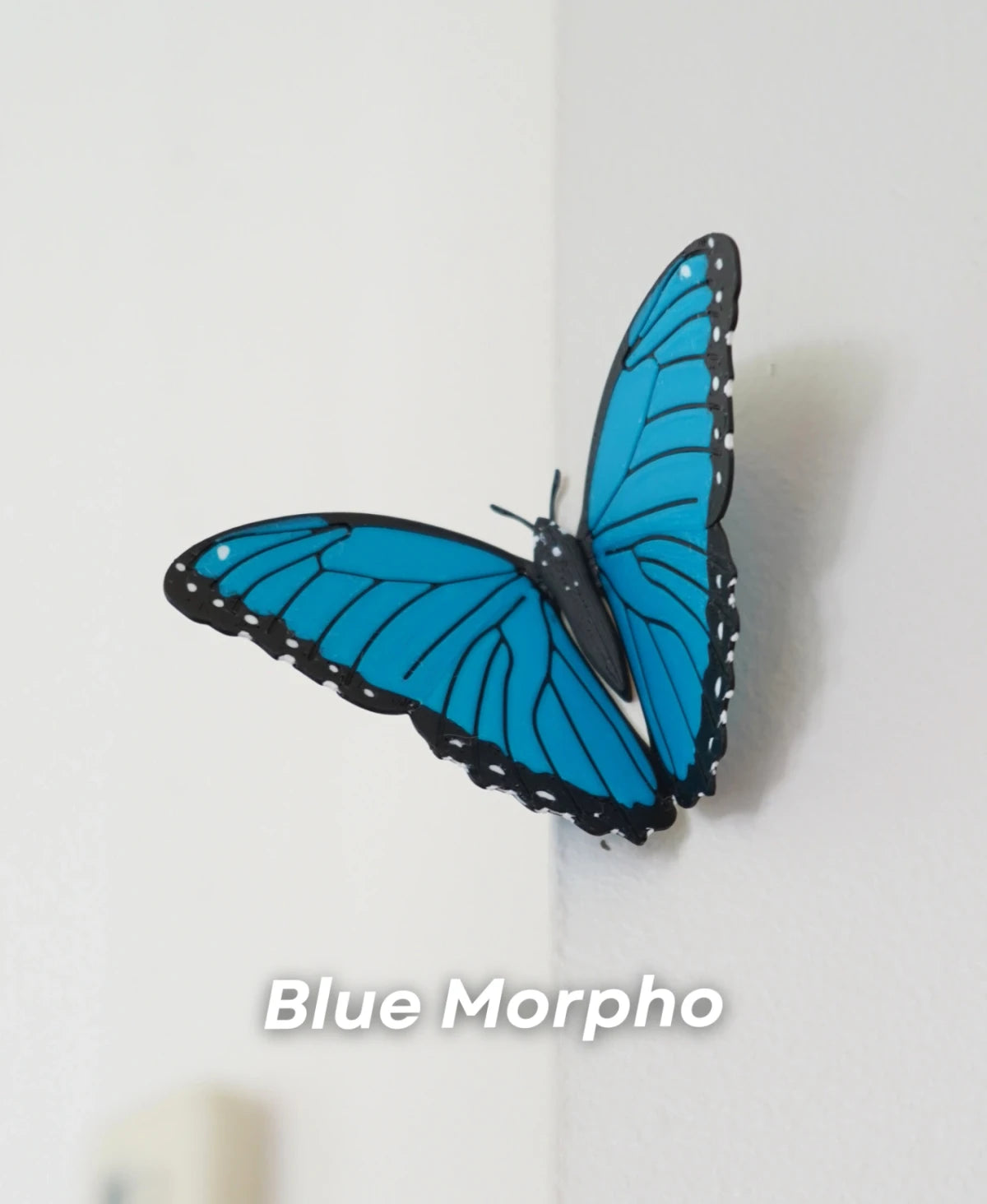 Butterfly Magnets - Pack 1
